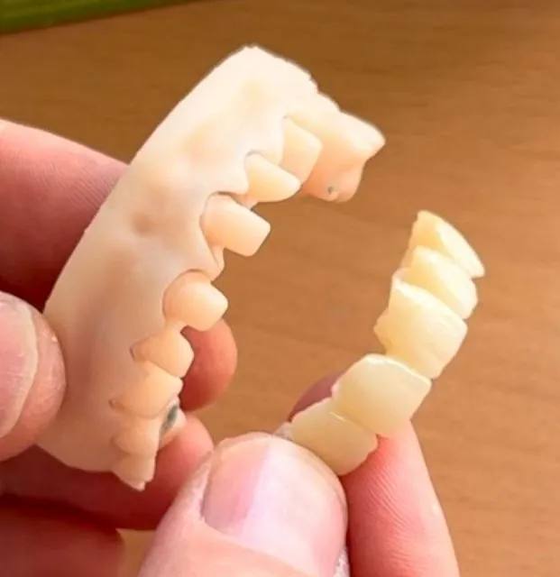 Suarez Y Vidal Laboratorio Dental